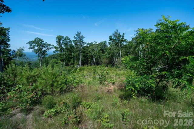 99999 Mountain Grove Lane 48, Fletcher, NC 28732