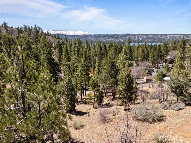 1125 Fawnskin, Fawnskin, CA 92333