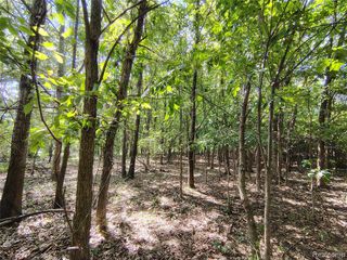 Parcel D Brigham Road, Goodrich, MI 48438
