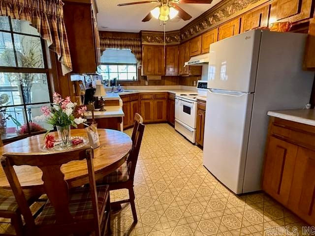 203 Cottonwood Drive, England, AR 72046