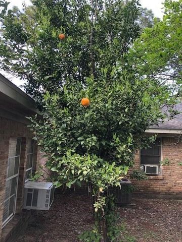 6225 Parkwood Drive W, Mobile, AL 36608