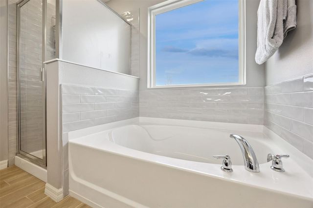 3029 IRISH PEACH DRIVE, Winter Garden, FL 34787