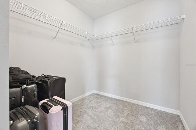 3029 IRISH PEACH DRIVE, Winter Garden, FL 34787