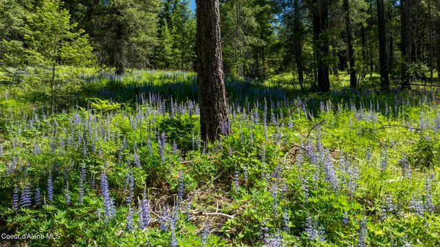TBD Kreiger Creek Rd Lot 2, Careywood, ID 83809