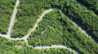 000 Syler Court Lot 222, Hollister, MO 65672