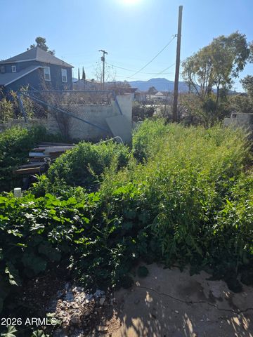 523 E COPPER HILLS Road, Globe, AZ 85501