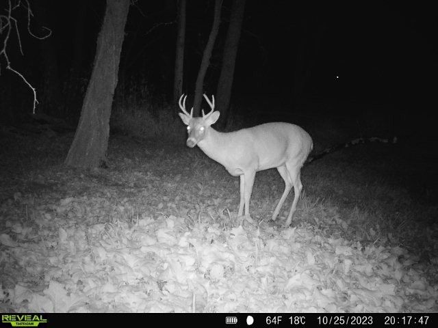 15400 Dubuque Place, Carlisle, IA 50047