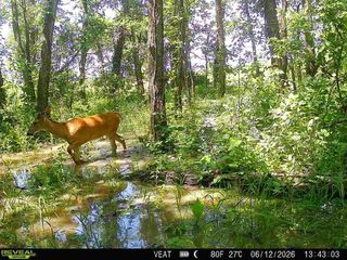 15400 Dubuque Place, Carlisle, IA 50047