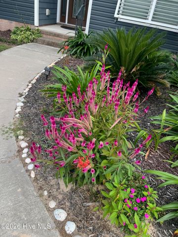 266 Ennett Lane, Sneads Ferry, NC 28460