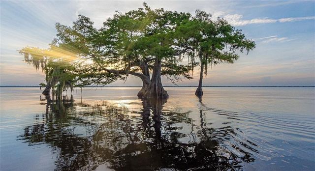 1031 Topsail Lane, Sebastian, FL 32958