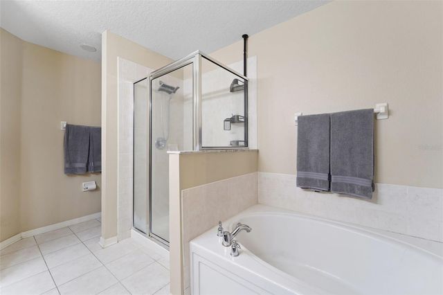 17539 HUGH LANE, Land O Lakes, FL 34638