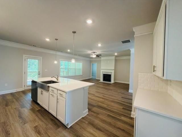 3360 Trevi Trail, Douglasville, GA 30135