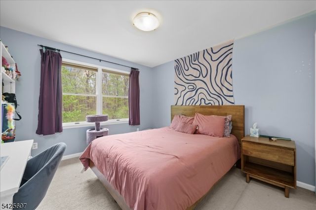 36 Jockey Hollow Rd, Bethlehem Twp., NJ 08802