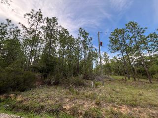 124 NEW YORK AVENUE, Interlachen, FL 32148