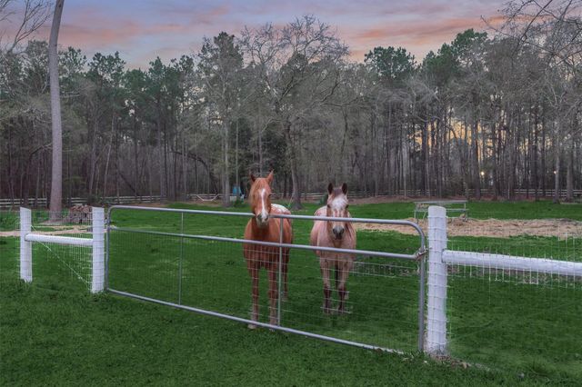 7403 Ponderosa Drive, Magnolia, TX 77354