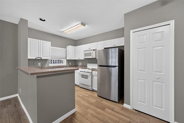 15032 DEER MEADOW DRIVE, Lutz, FL 33559