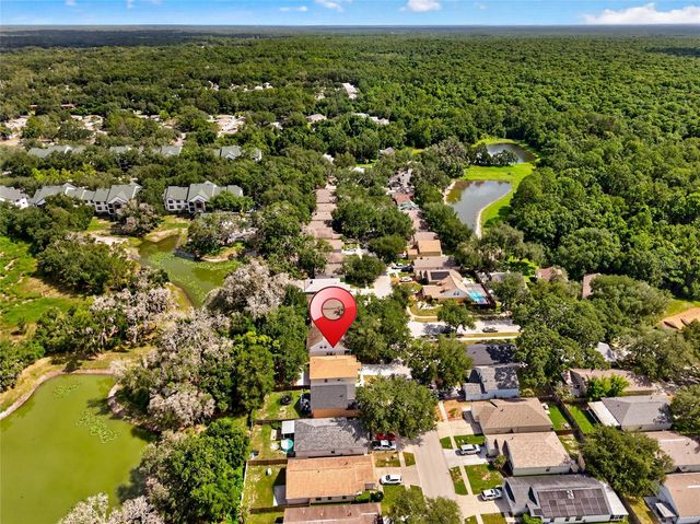 15032 DEER MEADOW DRIVE, Lutz, FL 33559