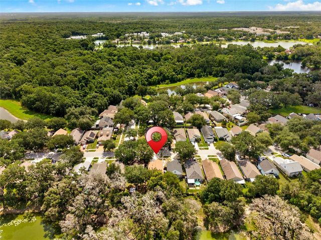 15032 DEER MEADOW DRIVE, Lutz, FL 33559
