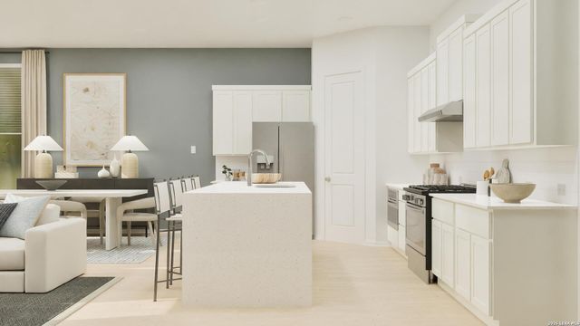1922 Black Stork, New Braunfels, TX 78130