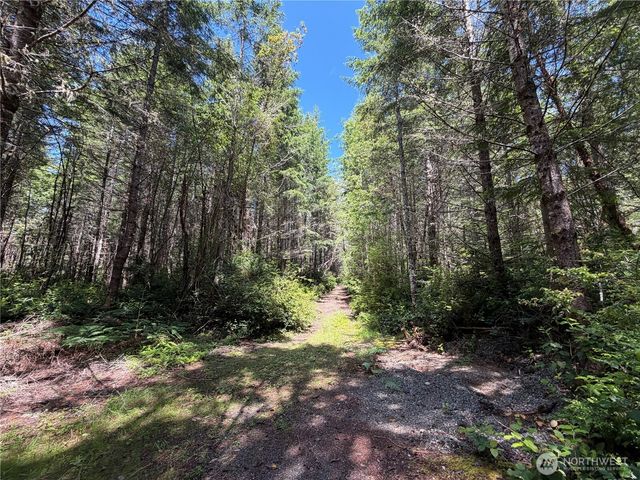 178 Geoduck Drive, Quilcene, WA 98376