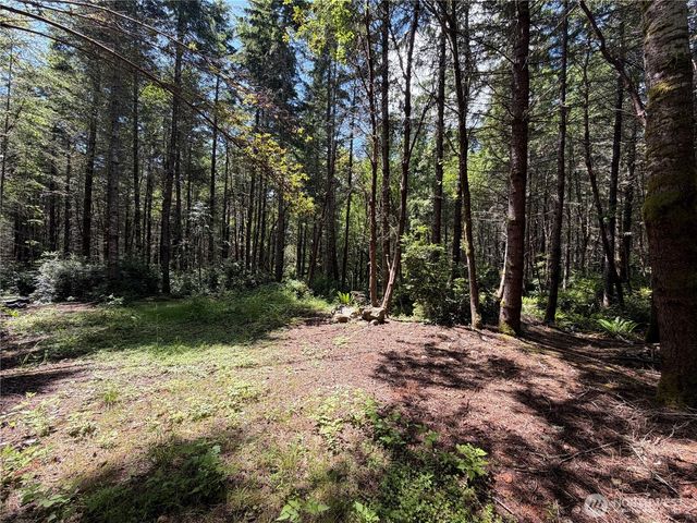 178 Geoduck Drive, Quilcene, WA 98376