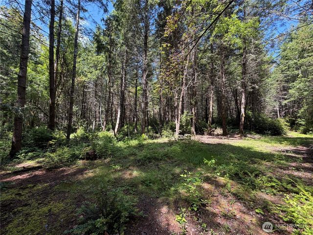 178 Geoduck Drive, Quilcene, WA 98376