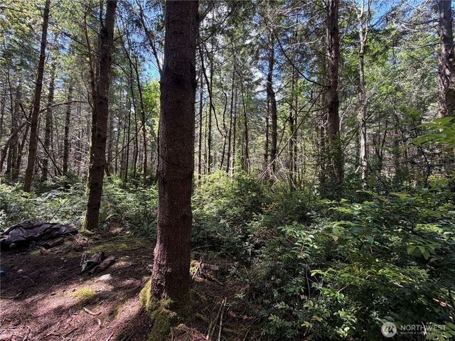 178 Geoduck Drive, Quilcene, WA 98376
