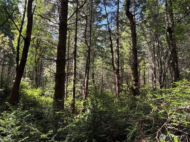 178 Geoduck Drive, Quilcene, WA 98376