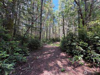 178 Geoduck Drive, Quilcene, WA 98376