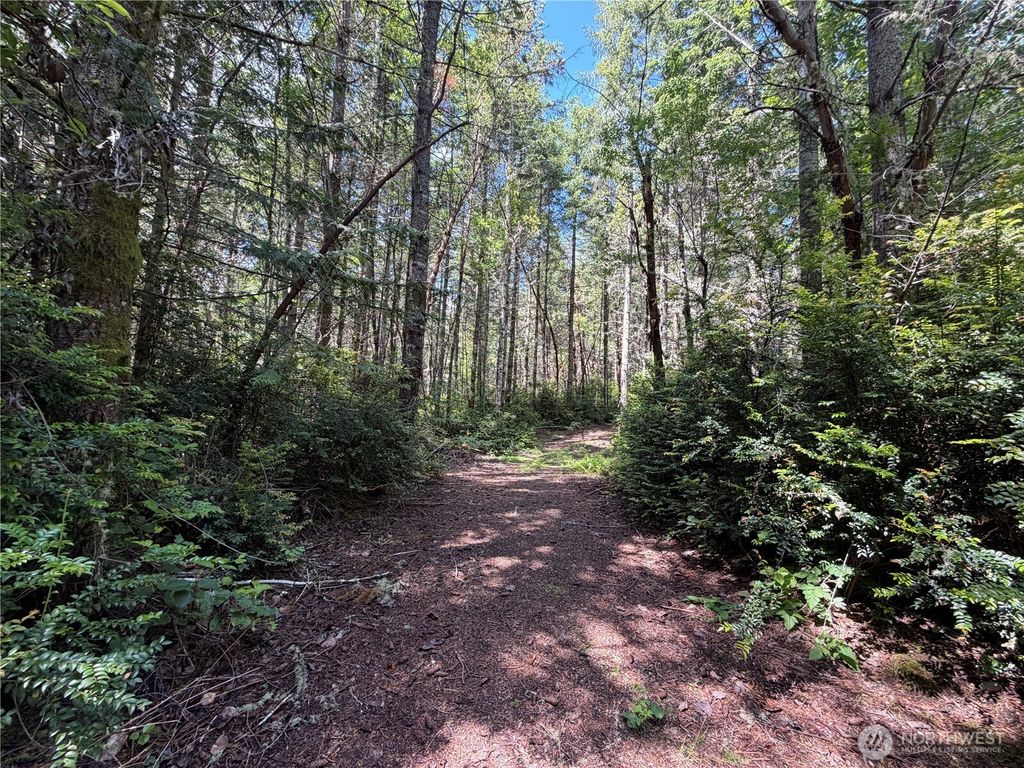 178 Geoduck Drive, Quilcene, WA 98376