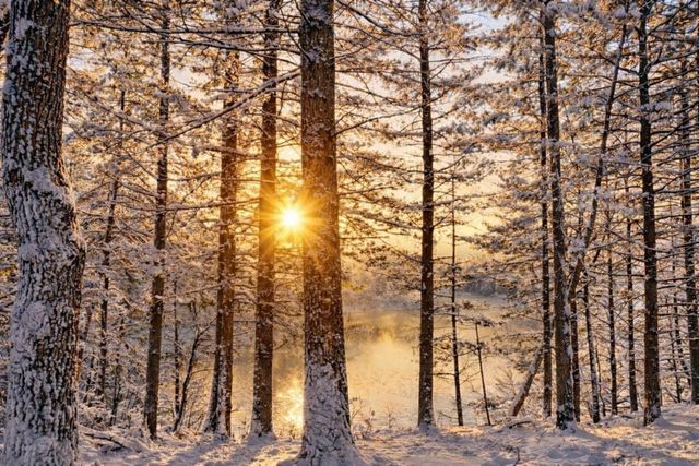 237 Oakbrook Drive, Wisconsin Dells, WI 53965