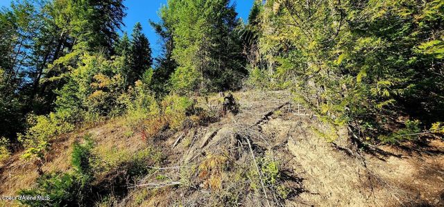 1530 Dusty Ln, St. Maries, ID 83861