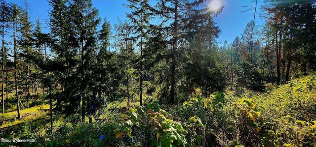 1530 Dusty Ln, St. Maries, ID 83861