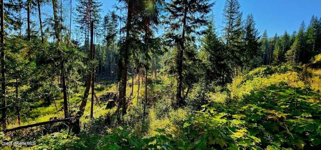 1530 Dusty Ln, St. Maries, ID 83861
