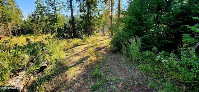 1530 Dusty Ln, St. Maries, ID 83861