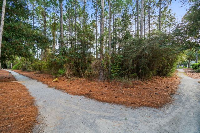 654 Breakers Street, Inlet Beach, FL 32461