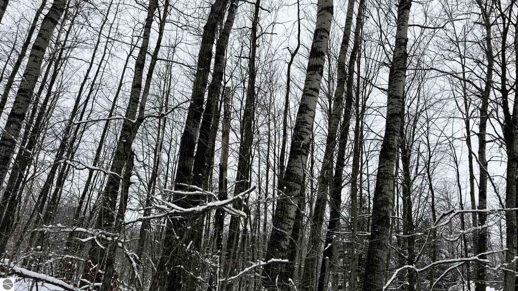 Image 3 of property listing at Lot 35 Wilderness Drive, Mancelona, MI 49659