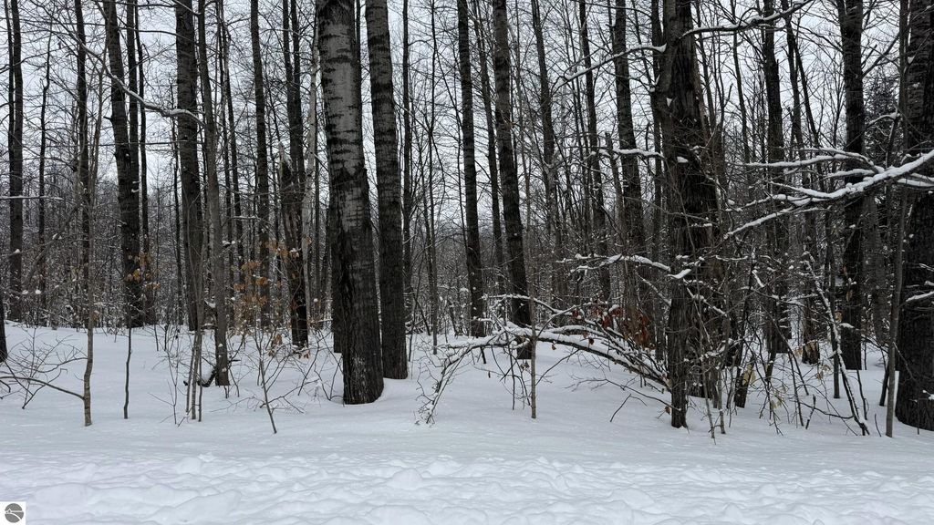 Image 4 of property listing at Lot 35 Wilderness Drive, Mancelona, MI 49659