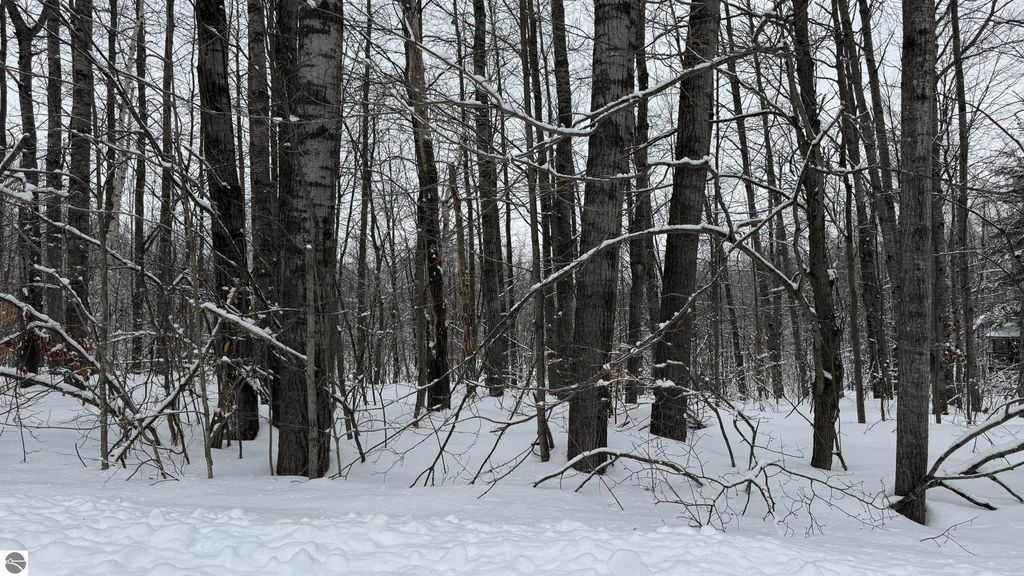Image 5 of property listing at Lot 35 Wilderness Drive, Mancelona, MI 49659