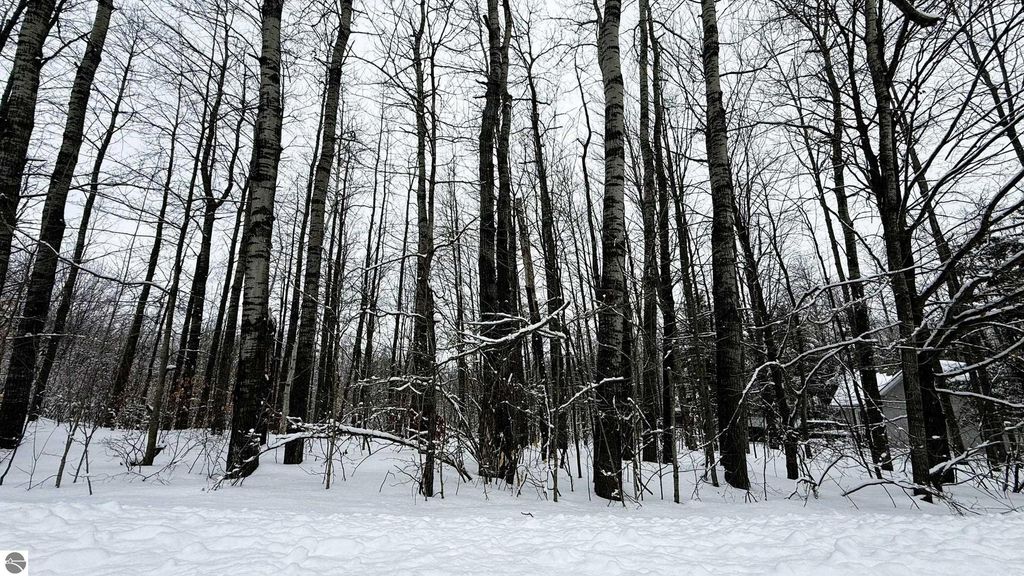 Image 6 of property listing at Lot 35 Wilderness Drive, Mancelona, MI 49659
