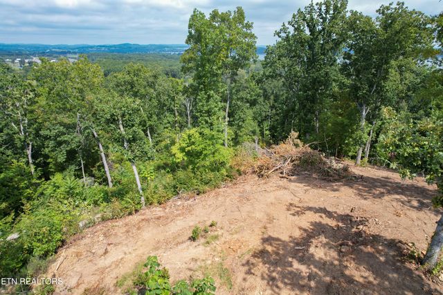 102 Ridgeline Tr, Dandridge, TN 37725