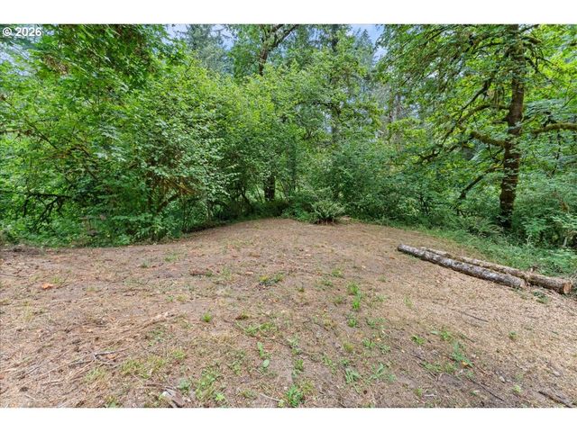 34102 Ne 14TH Ave, La Center, WA 98629