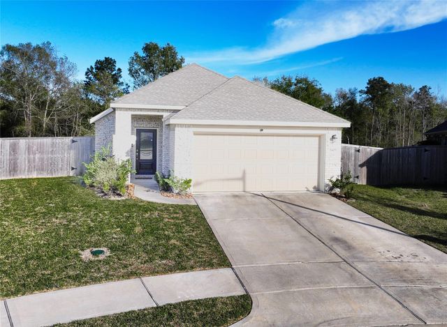 19409 Rosali Meadow Drive, New Caney, TX 77357
