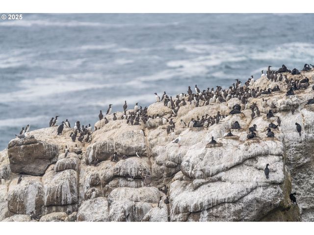 315 Ne VISTA TERRACE Ave, Depoe Bay, OR 97341