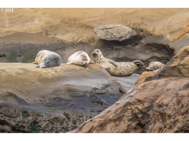 315 Ne VISTA TERRACE Ave, Depoe Bay, OR 97341