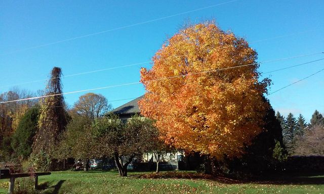 3661 Blue Goose ROAD, West Bend, WI 53095