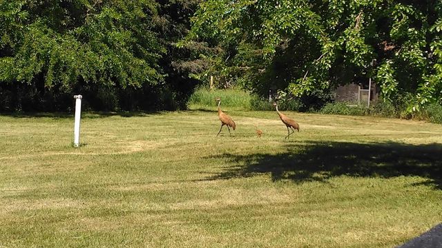 3661 Blue Goose ROAD, West Bend, WI 53095