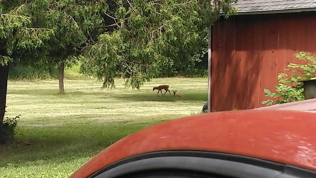 3661 Blue Goose ROAD, West Bend, WI 53095