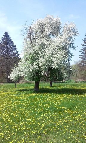 3661 Blue Goose ROAD, West Bend, WI 53095