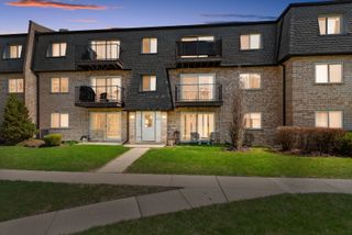 9446 Bay Colony Drive 2S, Des Plaines, IL 60016